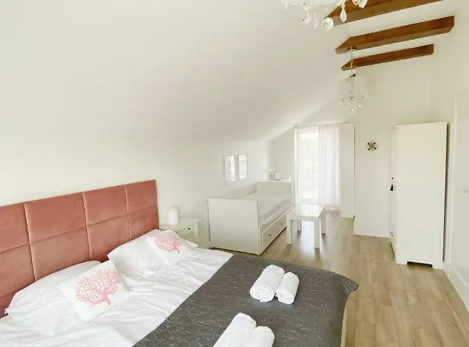 Balticana * Władysławowo